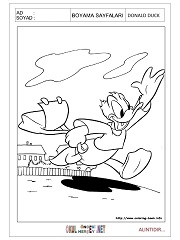 Donald Duck boyama sayfaları